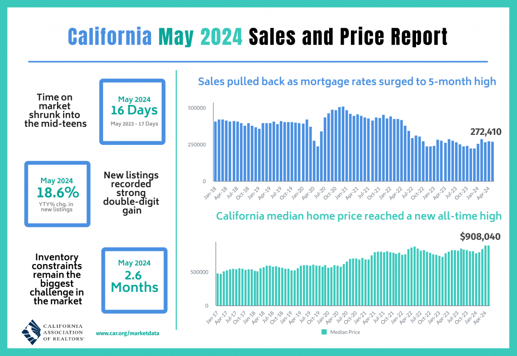 summer sale & Price inforgraphic 2024-5